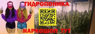 гашишное масло Будённовск