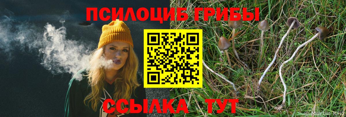 Мытищи  Галлюциногенные грибы мухоморы  Вход с VPN 